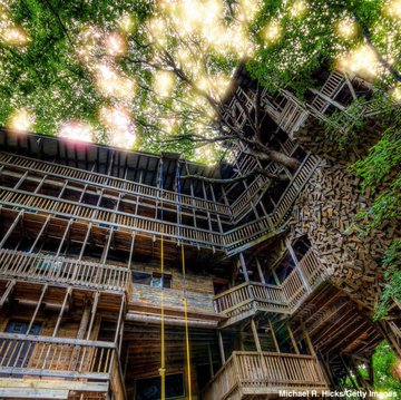 The world's largest treehouse burned to the ground on Tuesday night.  The Minister's Tree House stood at 100 feet and, with terraces and staircases, spread across seven massive trees