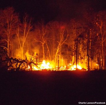 The world's largest treehouse burned to the ground on Tuesday night.  The Minister's Tree House stood at 100 feet and, with terraces and staircases, spread across seven massive trees