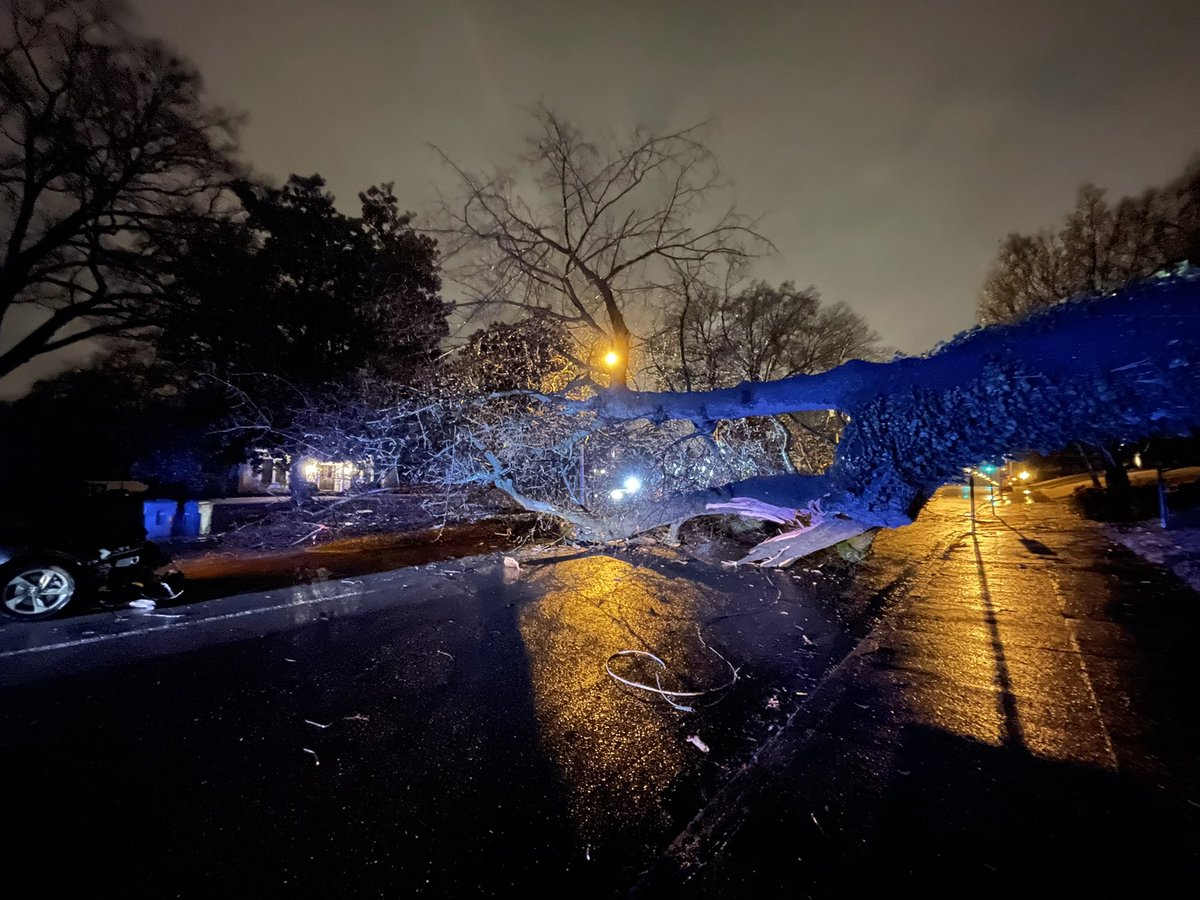 The ice storm is here and already a massive tree is down blocking Central near Anderson in Midtown.