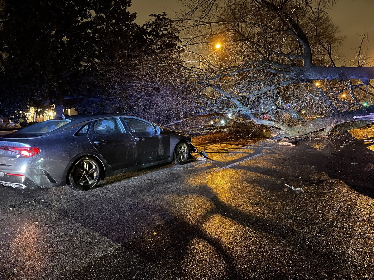 The ice storm is here and already a massive tree is down blocking Central near Anderson in Midtown.  