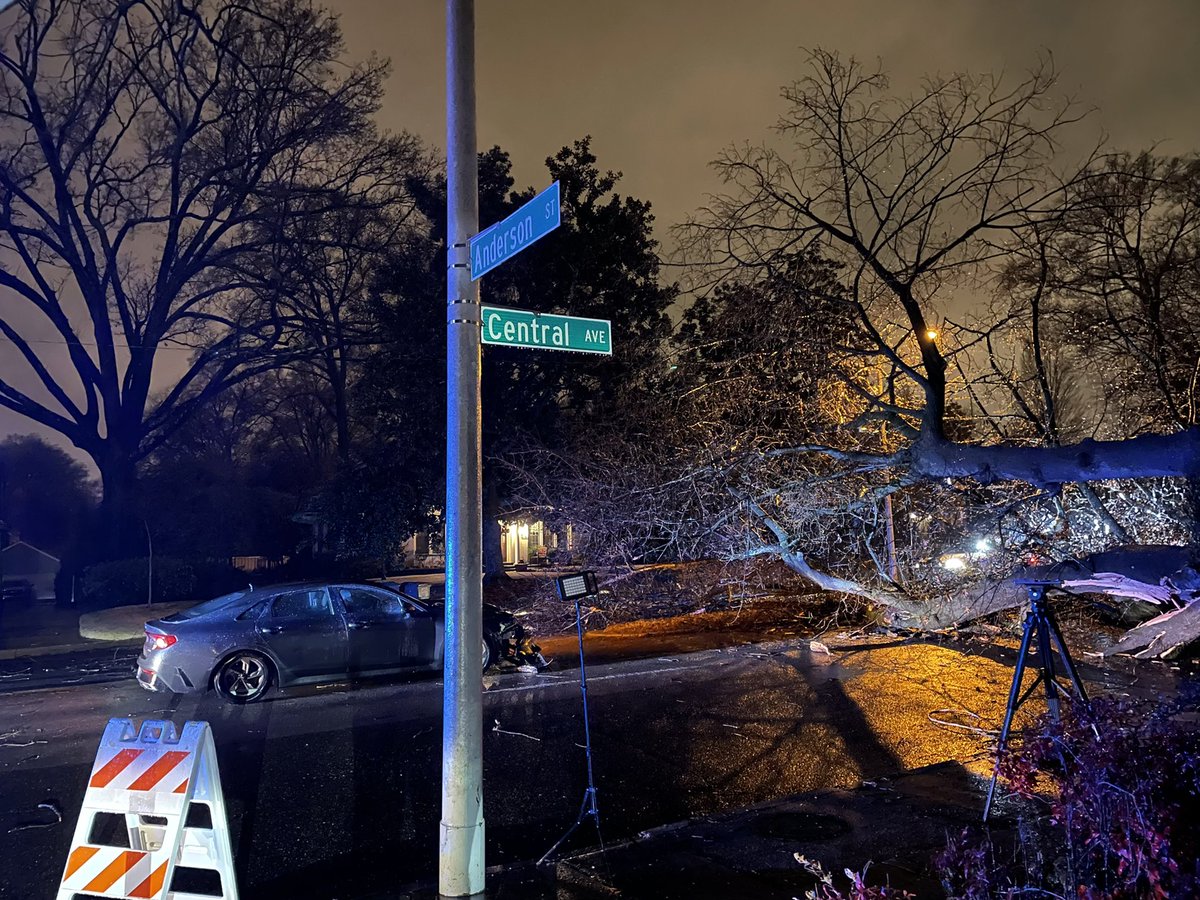 The ice storm is here and already a massive tree is down blocking Central near Anderson in Midtown.  