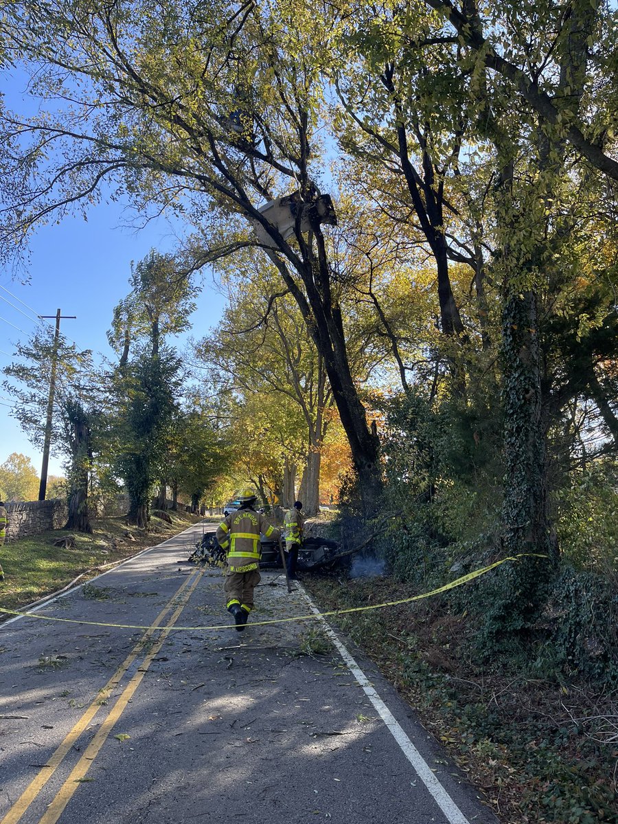 The Brentwood Police Department has released new pictures from the plane crash on Old Smyrna Road. The FAA says the pilot was killed in the accident and was the only person on board